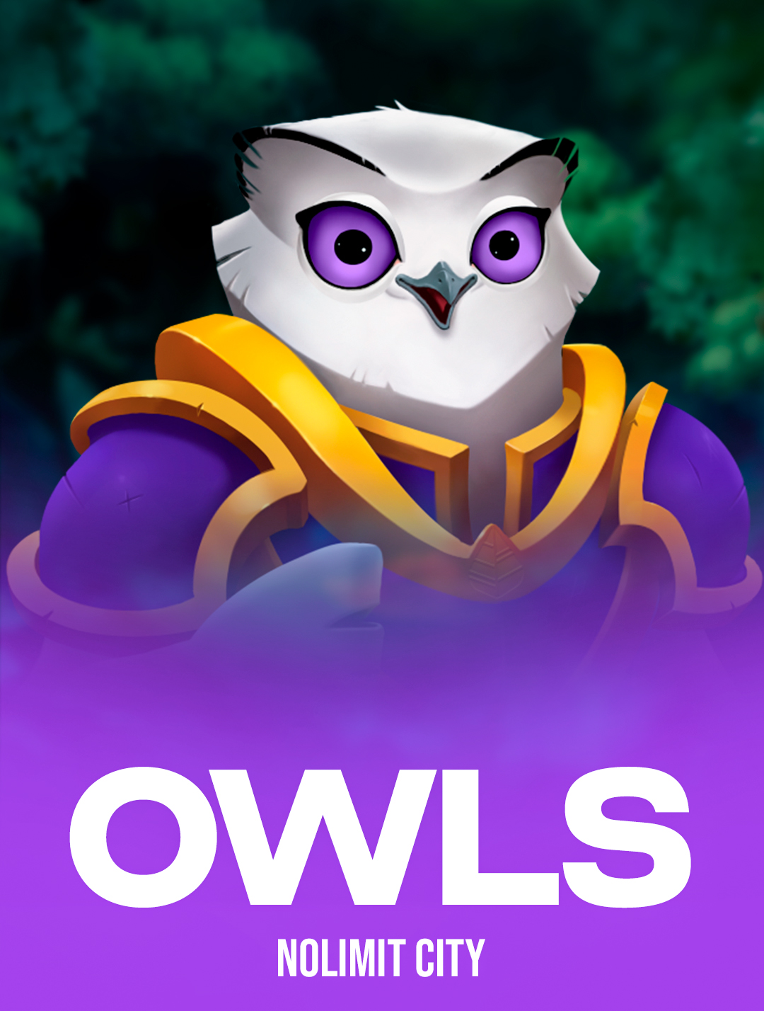 Owls