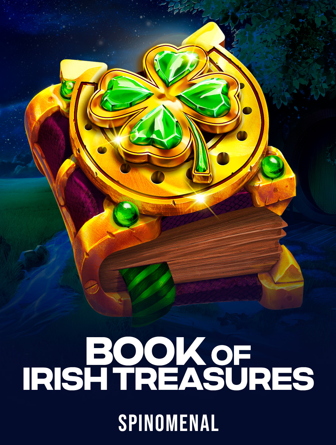 Book Of Irish Treasures