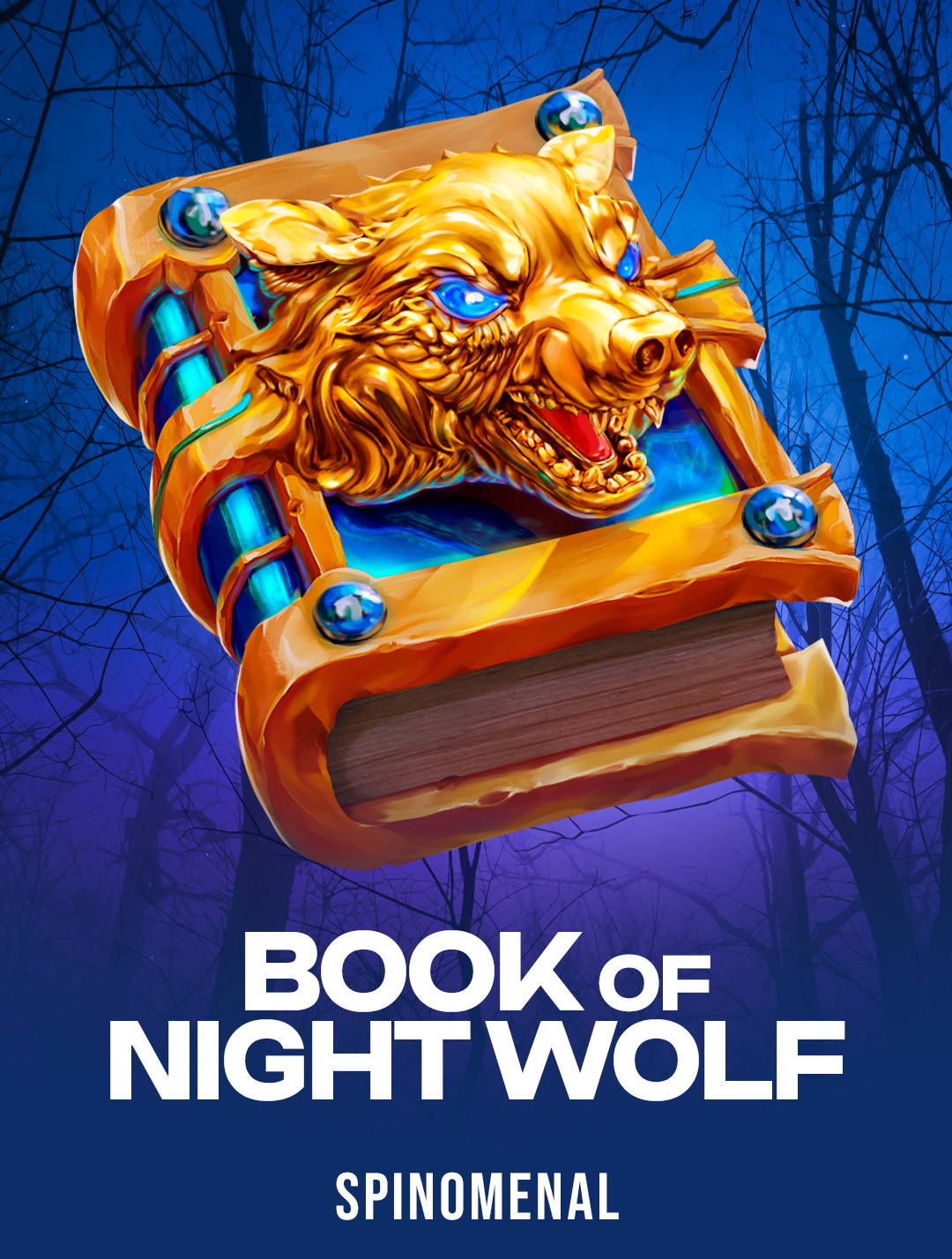Book Of Night Wolf