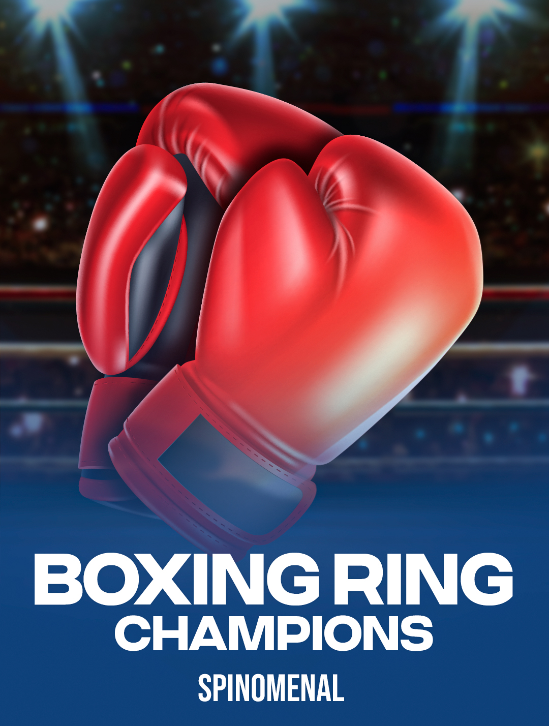 Boxing Ring Champions
