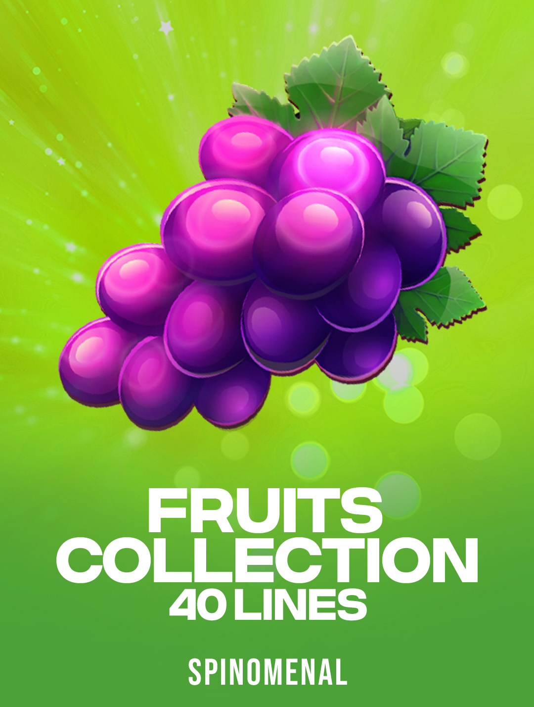 Fruits Collection – 40 Lines